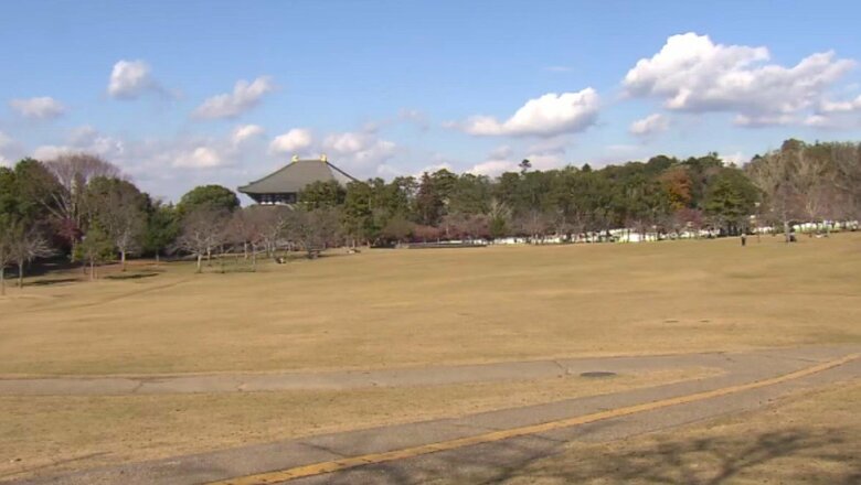 当初ライブが計画された奈良公園