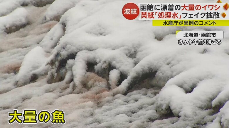 雪をかぶった状態で残っていた（12月12日）