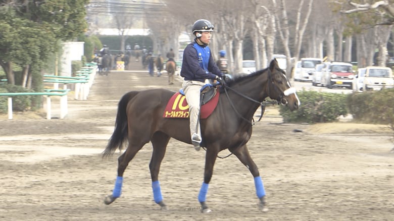 サークルオブライフ