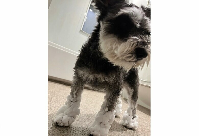 3分の1の時（提供：くぅさん）