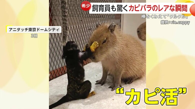 「これは見たことがなかったので、面白いなと思いました」と話す撮影者