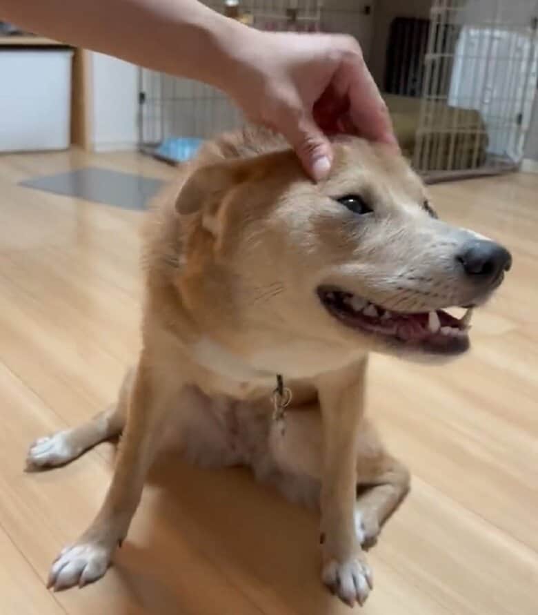 マッサージにでへでへ