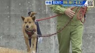 受刑者が保護犬と過ごし自らの罪に向き合う　更生に向けた新たな取り組み　広島・尾道刑務支所
