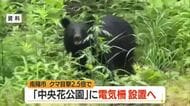 南陽市クマ目撃2.5倍増　中央花公園にクマよけの「電気柵」設置へ・700万円の補正予算案提出　山形