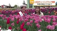 となみチューリップフェア開幕！　今年は350万本、75回目の節目を迎える【中継】