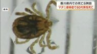 高松市に住む８０代男性がマダニによる感染症「ＳＦＴＳ」で死亡　県内での死亡は６例目【香川】