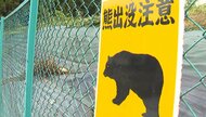 仙台市中心部で相次ぐクマの出没　ヒトの生活圏に迫るアーバンベア　専門家は「杜の都」ならではの事情も指摘