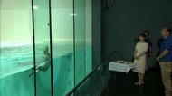愛子さま　ラッコの「イカミミジャンプ」に笑顔　鳥羽水族館でラッコやジュゴンを見学「癒やされました」