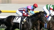 【日本ダービー・G1】ロブチェンが世代の頂点に！新たなダービージョッキー松山弘平騎手と共にクラシック2冠達成！