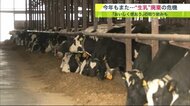 「やるせない」搾れば搾るほど赤字 ”生乳を排水溝に”　酪農の「かつてない危機」【北海道発】 