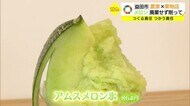 【山陰SDGs】規格外メロンがフルーツ店コラボでまるごとかき氷に(島根・益田市)
