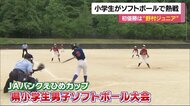 小学生たちが白球追いかけソフトボール熱戦【愛媛】