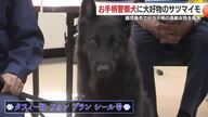 捜索開始からわずか13分で行方不明者を発見！　ご褒美は好物のサツマイモ　鹿児島の警察犬・タフィーはデビューから40回出動、8度目の表彰