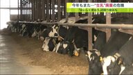 「やるせない」搾れば搾るほど赤字 ”生乳を排水溝に”　酪農の「かつてない危機」【北海道発】 