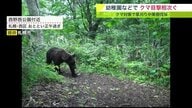 札幌の一部エリアに「ヒグマ注意報」…幼稚園にも出没　対策は草刈り？【北海道発】