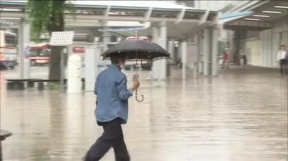 梅雨に向け心配…ビニール傘も高騰か　中東情勢によるナフサ不足　気軽に買えるものではなくなる！？