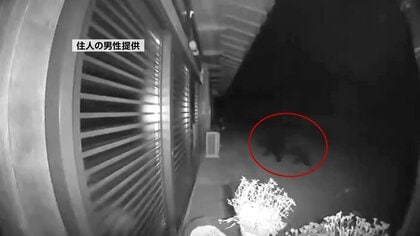 「精米機や木箱がクマに壊された」盛岡市の民家で物的被害　岩手県