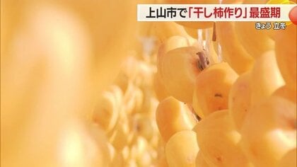 風に揺れる“オレンジ色のカーテン”　立冬迎え「干し柿づくり」最盛期　瀧山・朝日岳・雁戸山で初冠雪も【山形発】