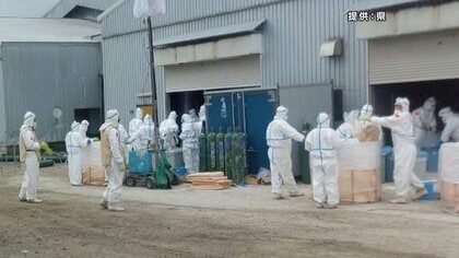 56万羽殺処分へ、40％22万羽余りが完了　鳥インフル確認の養鶏場　作業に延べ1296人を動員　岩手県金ケ崎町