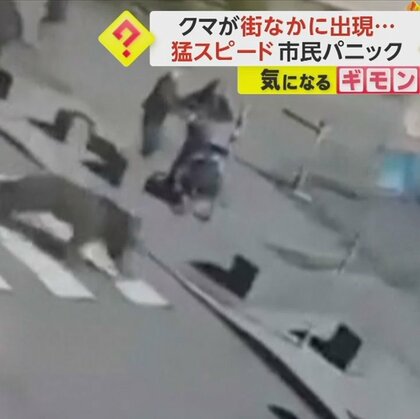 人よりはるかに大きいクマが街中に出現　市民がパニックに　クマに襲いかかられた女性が転落死　スロバキア