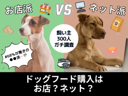 【飼い主300人に調査】犬のドッグフード購入は意外にも●●派が7割！お店VSネットの“今どきの答え”が明らかに！