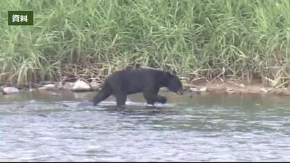 クマ2頭をワナで捕獲　臨時閉園の公園は10月8日に再開園へ＜福島県福島市＞
