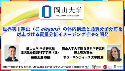 【岡山大学】世界初!線虫(C. elegans)の体内構造と脂質分子分布を対応づける質量分析イメージング手法を開発