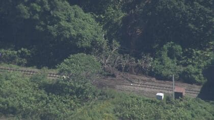 【脱線】記録的大雨で線路に倒木が流れ込む→JR室蘭線”回送列車”が衝突…ケガ人なしも復旧めど立たず→一部区間で運休→「札幌―函館」間の『大動脈』に影響〈北海道伊達市〉