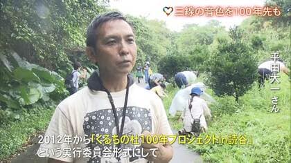 三線”に使えるまで100年～200年…希少な沖縄産「くるち」の音色を未来に