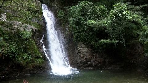 愛知と岐阜で水難事故　男性2人死亡　川遊びや釣りで…