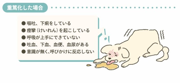 重篤化するとこうした症状が出てしまう