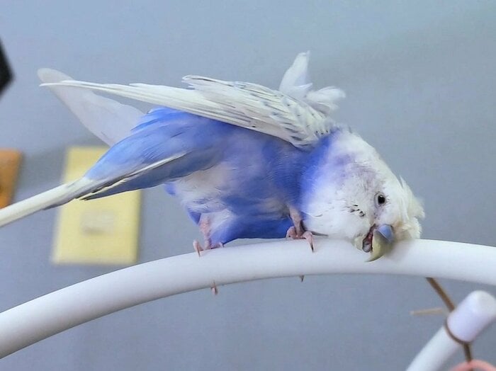 「気持ちいい!」セルフカキカキでツボが刺激された表情