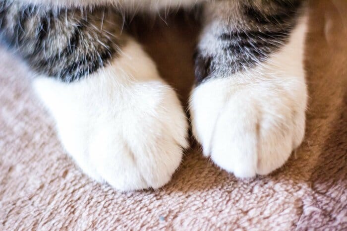 「靴下」（画像はイメージ）