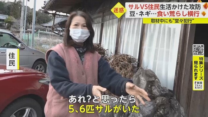 「黒豆を置いていたら、ガサガサっと音がして」
