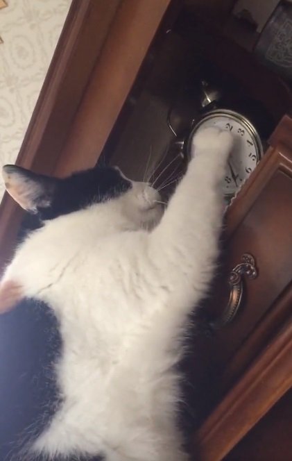 時を進めるミカサちゃんをもう一度