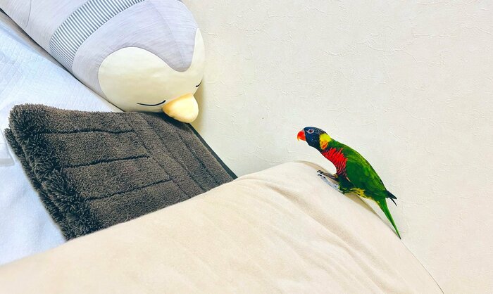 優くんのいないベッドを見て首をかしげるブルブルくん