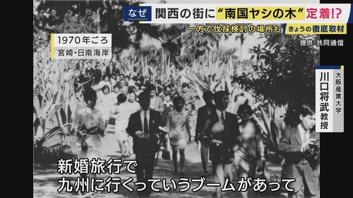 1970年ごろ　宮崎・日南海岸