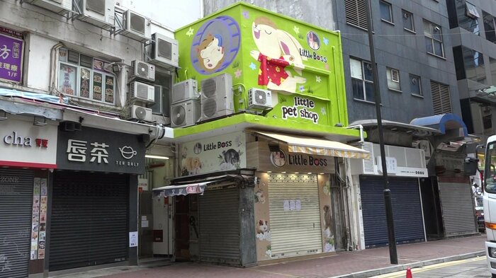ハムスターからの感染が指摘された香港のペットショップ
