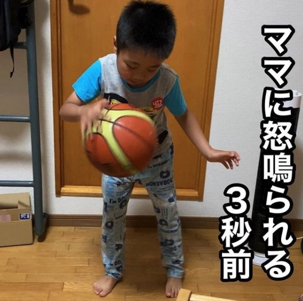 提供:かいさん