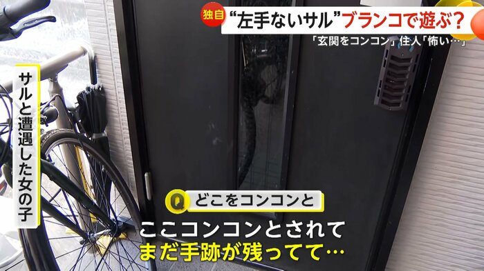 玄関を「コンコン」とした左手のないサル