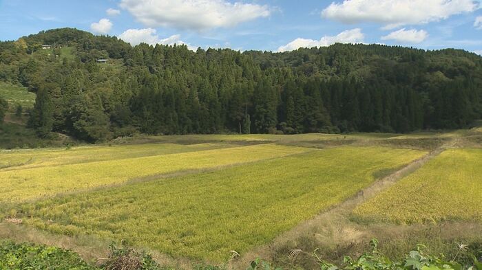 上越市牧区