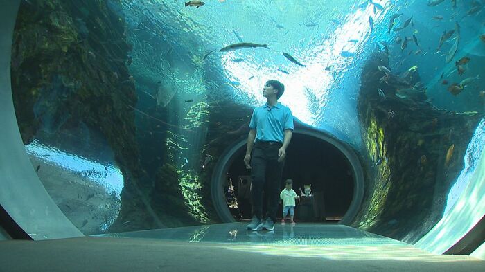 上越市立水族博物館うみがたり