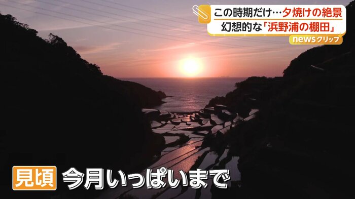 夕日を反射する棚田
