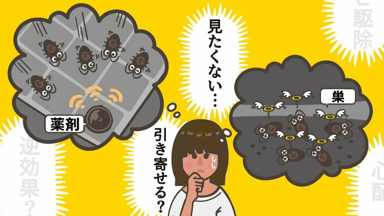 ゴキブリを“巣ごと駆除”ってどういうこと？部屋で大量の死骸を見ることはない？駆除エサ剤への疑問をアース製薬に聞いた｜FNNプライムオンライン