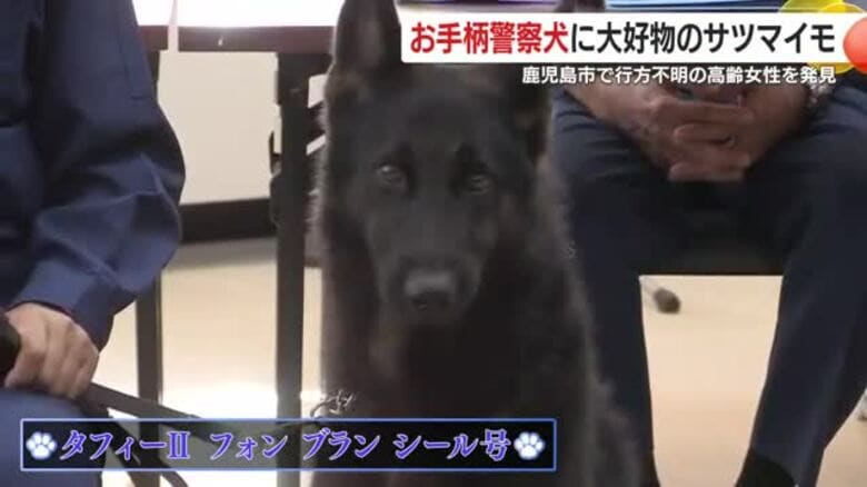 捜索開始からわずか13分で行方不明者を発見！　ご褒美は好物のサツマイモ　鹿児島の警察犬・タフィーはデビューから40回出動、8度目の表彰｜FNNプライムオンライン