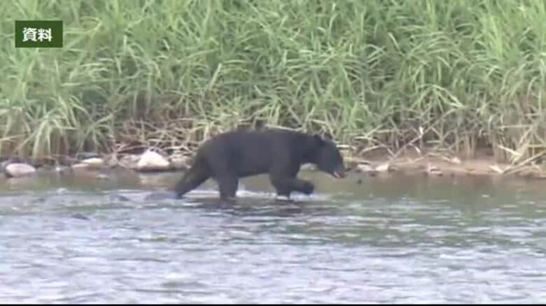 彼岸の入り　墓地で女性がクマに襲われる＜福島県喜多方市＞｜FNNプライムオンライン