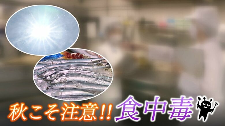 秋こそ注意が必要な食中毒！油断や免疫力低下も一因か　青森で製造の弁当では多数の体調不良【静岡発】｜FNNプライムオンライン