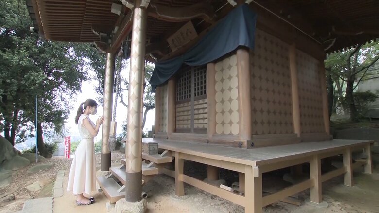 歴史ある寺を彩る「マスキングテープ」　和の空間にアクセント…カフェやワークショップも【岡山発】｜FNNプライムオンライン