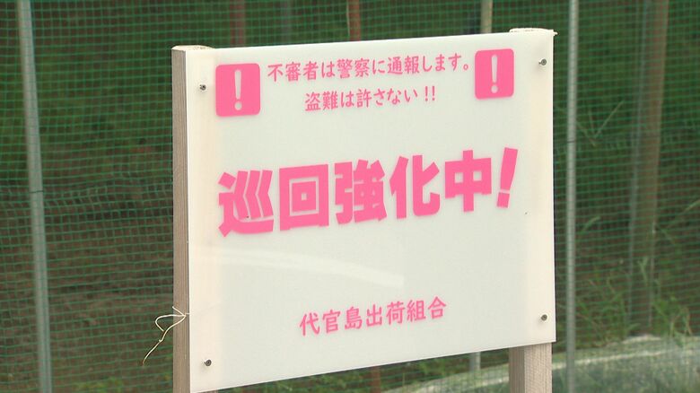 すでに被害も…実りの秋“農作物の盗難”に注意を！看板設置・パトロールなど警戒強化「地域一丸となって収穫物守る」新潟｜FNNプライムオンライン