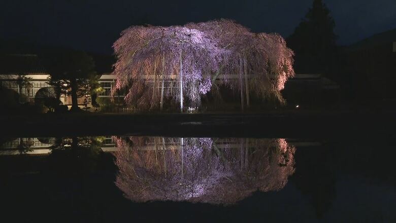 幻想的な雰囲気　水たまりに「サクラ」と「木造校舎」　長野・飯田市｜FNNプライムオンライン